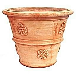 Foto einer "vaso dell'olmo" aus Terracotta Impruneta